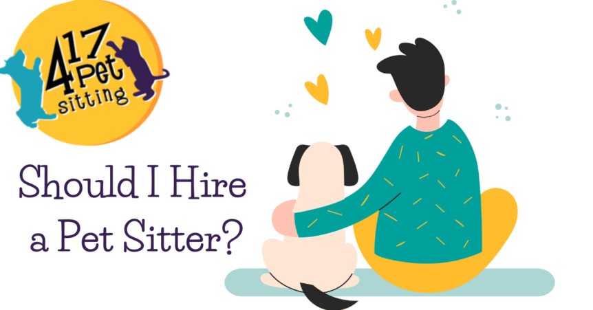 hire a pet sitter