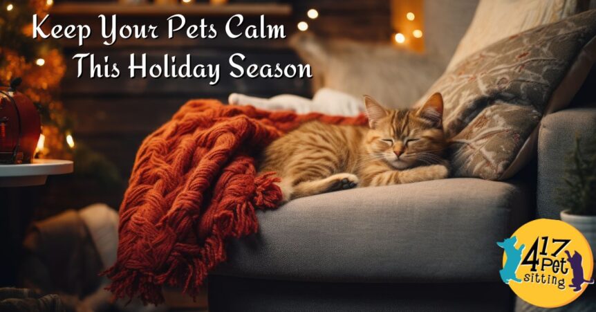 Calming pet tips